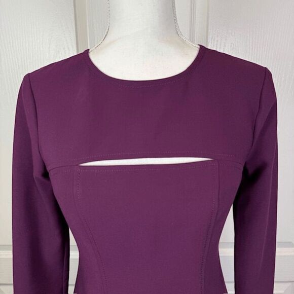 Likely Keller Long Sleeve Mini Dress Purple Plum Bodycon Sheath Cutout Size 4 - Picture 4 of 14
